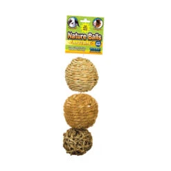 Ware™ Nature Chews Balls 3 Pack(129800)