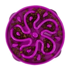 Outward Hound® Fun Feeder Slo-Bowl For Dog Purple Color 1.7 Lbs(103886)