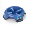 JW® Skid Stop® Slow Feed Bowl Assorted Color 3 Cups Large(82138) -Pet Supplies Shop 618940632412 0980fef4 3c13 44f7 9047 47ad89a5a0ee