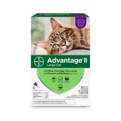 Advantage® II Flea Treatment For Large Cat 6 Dose(43820)