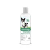 Advantage® Treatment Shampoo For Dog & Puppy 12 Oz(43847) -Pet Supplies Shop 724089792655