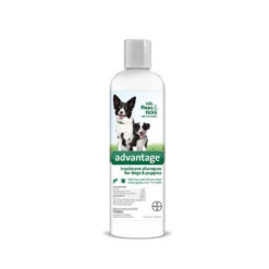 Advantage® Treatment Shampoo For Dog & Puppy 12 Oz(43847)