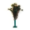 Vee Enterprises Natural Peacock Feather Cat Toys 100 Count(26775)