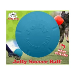 Jolly Pets® Jolly Soccer Ball™ Dog Toys Blue Color Small 6 Inch(37716)
