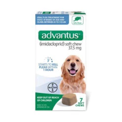 Advantus® Soft Chews 37.5 Mg For Large To Extra Large Dog 7 Count(43867)