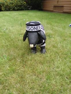 Prisoner Dog Costume(Prisoner Dog Costume) -Pet Supplies Shop RarAMdoOAW