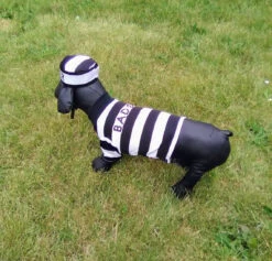 Prisoner Dog Costume(Prisoner Dog Costume) -Pet Supplies Shop gm2IqgTif4