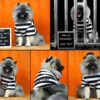 Prisoner Dog Costume(Prisoner Dog Costume) -Pet Supplies Shop hsX1nbXWUc
