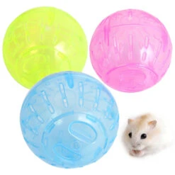 Exercise Ball For Hamsters And Small Pets(Plastic Pet Rodent Mice Jogging Ball Toy Hamster Gerbil Rat Exercise Balls Play Toys)