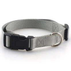 Sturdy Basic Nylon Dog Collar With Quick Snap Buckle(Sturdy Basic Nylon Dog Collar With Quick Snap Buckle) -Pet Supplies Shop product image 848512290