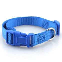Sturdy Basic Nylon Dog Collar With Quick Snap Buckle(Sturdy Basic Nylon Dog Collar With Quick Snap Buckle) -Pet Supplies Shop product image 848512291
