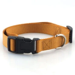 Sturdy Basic Nylon Dog Collar With Quick Snap Buckle(Sturdy Basic Nylon Dog Collar With Quick Snap Buckle) -Pet Supplies Shop product image 848512292