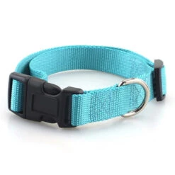 Sturdy Basic Nylon Dog Collar With Quick Snap Buckle(Sturdy Basic Nylon Dog Collar With Quick Snap Buckle) -Pet Supplies Shop product image 848512293