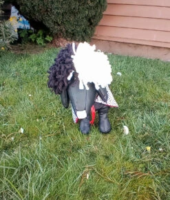 Cruella De Vil Dog Costume(Cruella De Vil Dog Costume) -Pet Supplies Shop sS5qDEMDKw